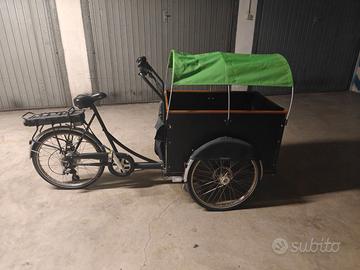 Bicicletta cargo elettrica