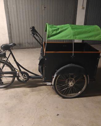 Bicicletta cargo elettrica