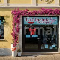 Attività Commerciale Abbiategrasso [1582VCG]