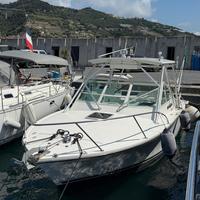 Carolina 28 Classic del 2008