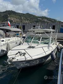 Carolina 28 Classic del 2008