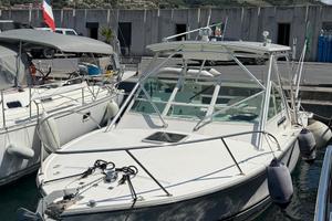 Carolina 28 Classic del 2008