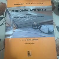 Libro di economia aziendale