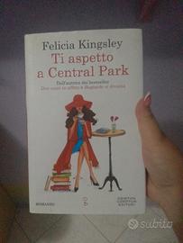 libro ti aspetto a central park 