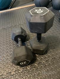 Coppia pesi 20kg
