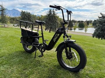 e-bike cargo 20" fat tire