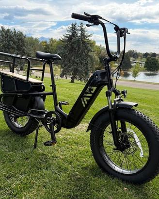 e-bike cargo 20" fat tire