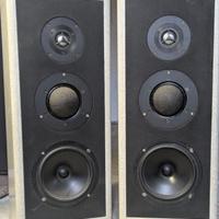 Coppia di Casse Allison