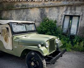 Jeep Willys CJ 6