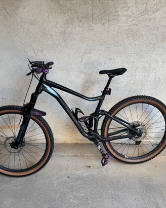 Mtb Giant