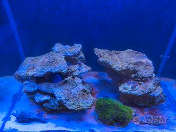 Rocce acquario marino 