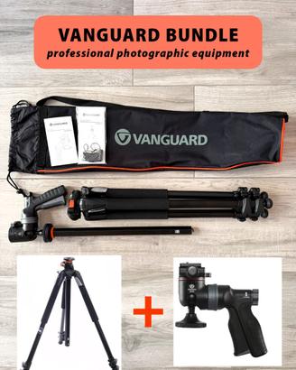 Vanguard: Treppiede Alta Pro 263AT + Testa GH-100