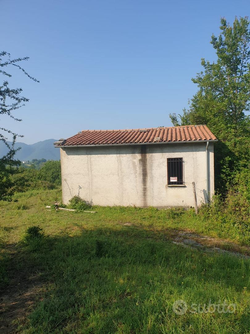 Terreno 6 ettari con casetta - Vista 5