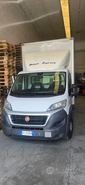 Fiat DUCATO CASSONATO