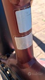 Ebike Liv (Giant)
