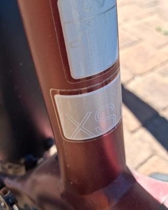 Ebike Liv (Giant)