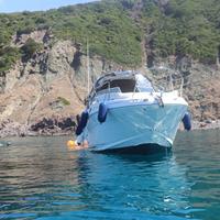 Sea Ray 315 Sundancer