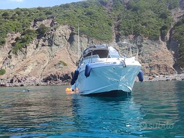 Sea Ray 315 Sundancer