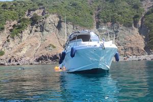 Sea Ray 315 Sundancer