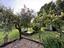 Immagine 14