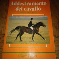 Addestramento del cavallo