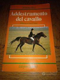 Addestramento del cavallo