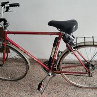 Bicicletta Turis cambio Shimano