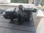 Immagine 2