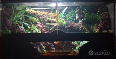 terrario 60x45x30