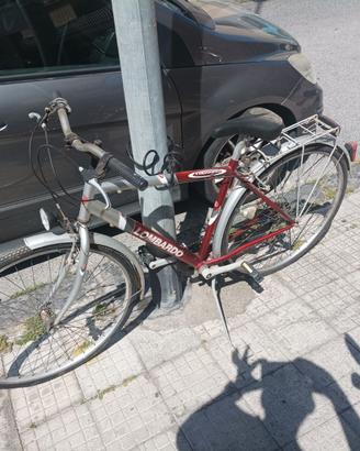 bicicletta