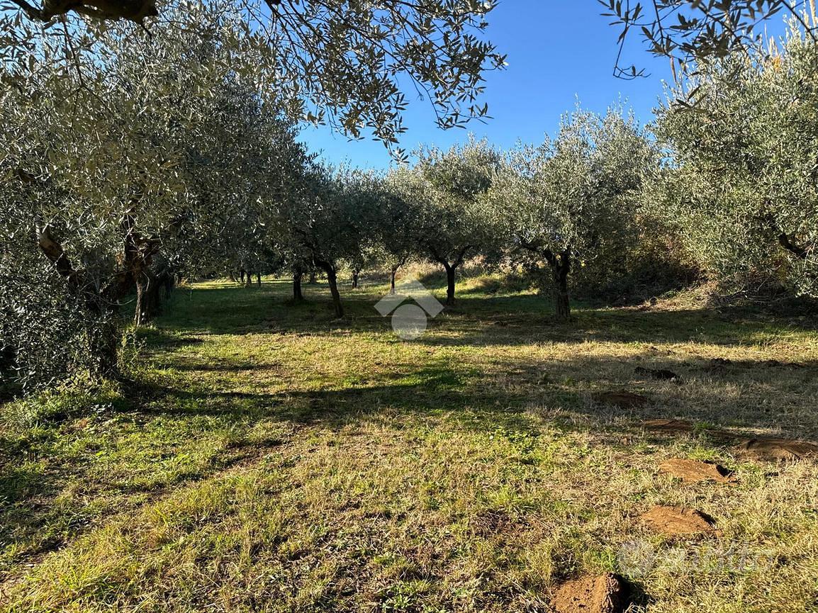 TER. RESIDENZIALE A SAN CESAREO - Vista 2