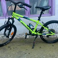 Bicicletta (mountain bike)ragazzo diametro 20