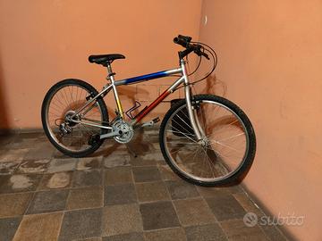 bicicletta 