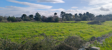 Terreno agricolo 15000 mq Castrignano dei greci