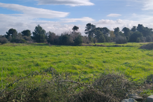 Terreno agricolo 15000 mq Castrignano dei greci