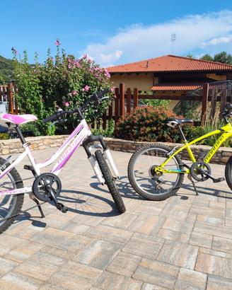 biciclette bambino 20 pollici
