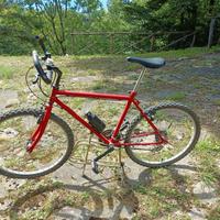 Mountain bike entry level usata