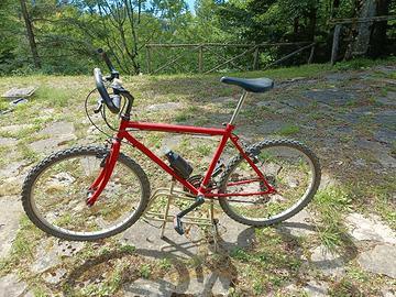 Mountain bike entry level usata