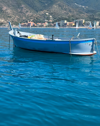 Gozzo vetroresina