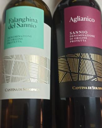 Vini bianco e rosso 