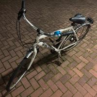 Bici Vicini Manhattan