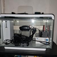 Acquario 25 litri