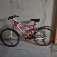 bicicletta mountainbike