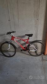 bicicletta mountainbike