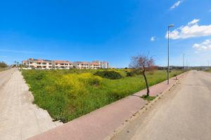 Terreno Edificabile mq.11000 - Porto Torres -