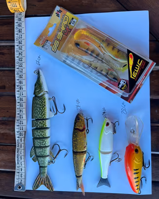 Lotto esche bass/Luccio