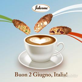 Social Media Manager - Graphic Designer - Web Desi