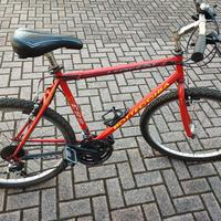 bicicletta Bottecchia