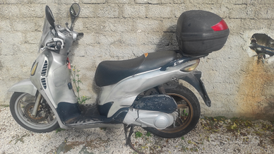 SH 150 Solo passaggio proprietà Moto e Scooter In vendita a Isernia