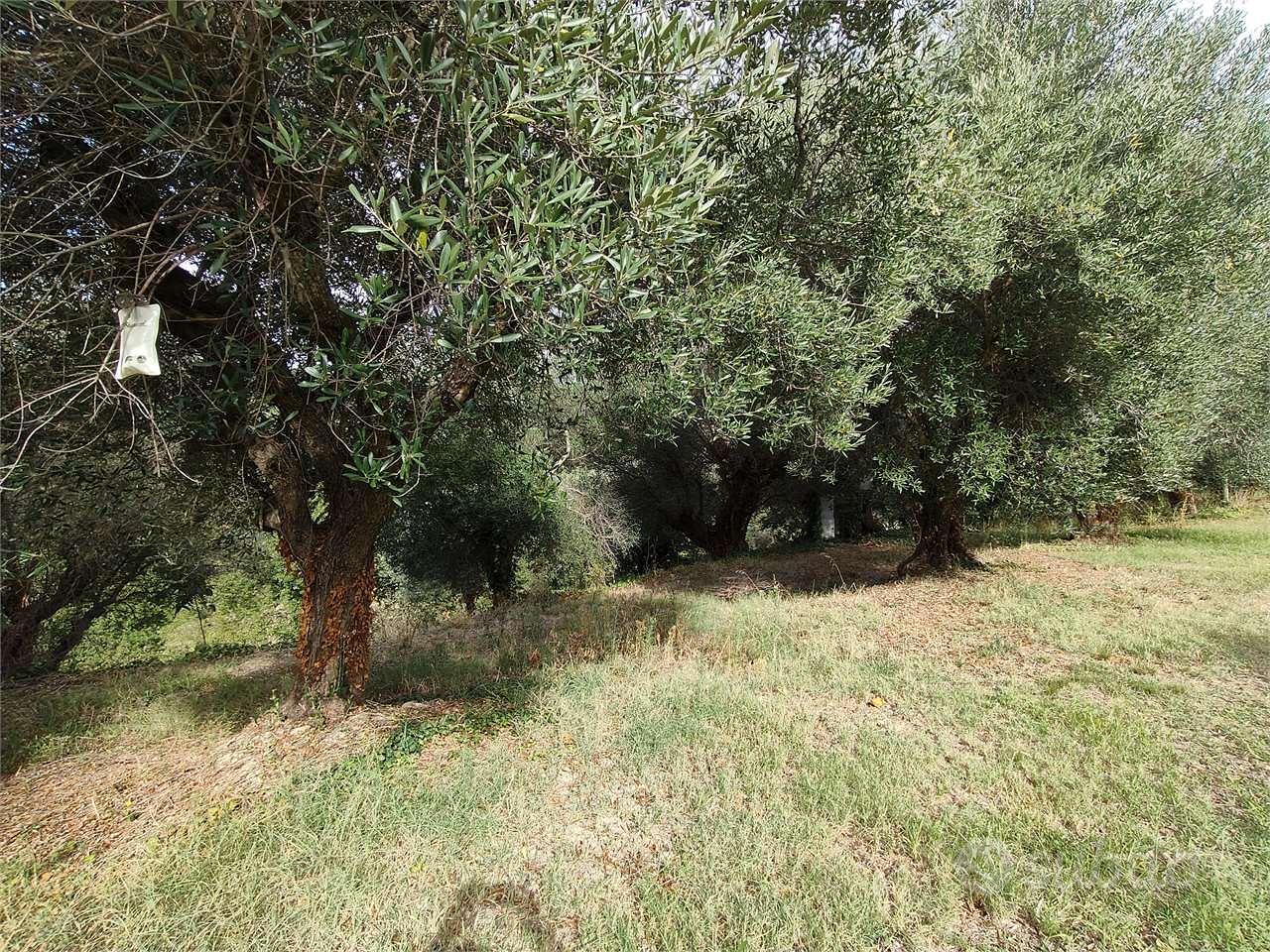 V004160 OSIMO VIA SAN PATERNIANO - Vista 4